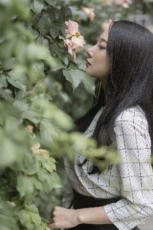 大地二资源在线高清免费播放