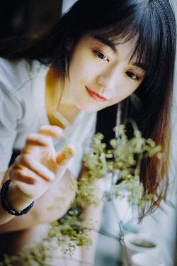 成全视频观看免费高清动漫第5季