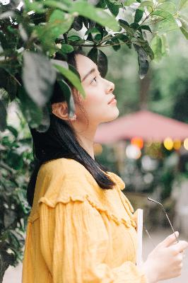 免费观看在线高清电视剧