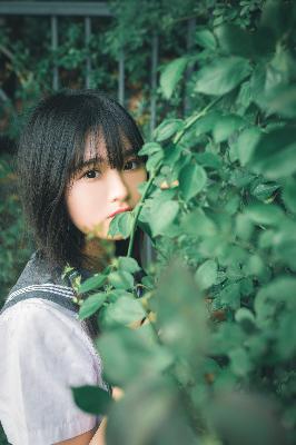 樱花在线观看高清完整电影