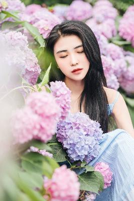 GOGOGO高清在线观看