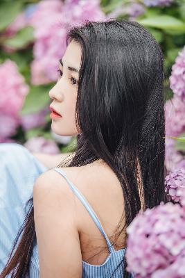 樱花动漫高清在线观看完整版