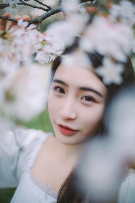 大地视频在线观看免费高清