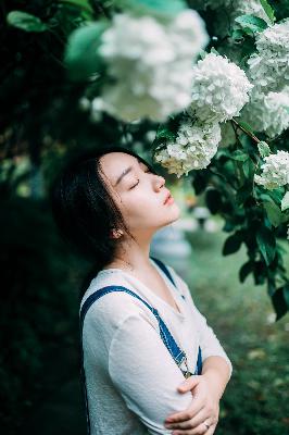 今天高清视频在线观看