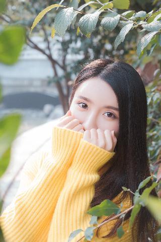 三年中文在线观看免费版