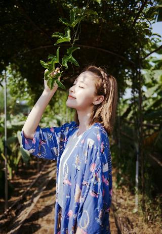 免费观看调色大片