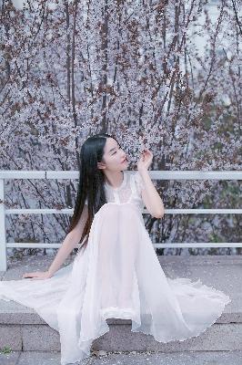麻花天美星空无限免费观看电视剧