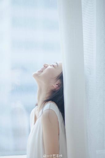 欧美人动物PPT免费模板大全