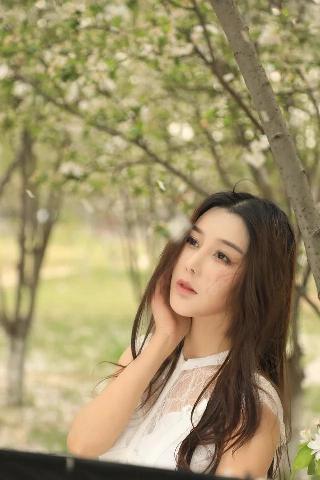 向日葵在线观看免费高清电视剧