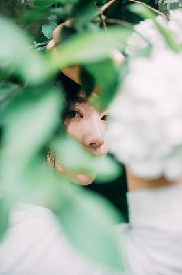 成全在线观看免费完整版电影