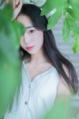 樱花视频在线观看免费高清电视剧