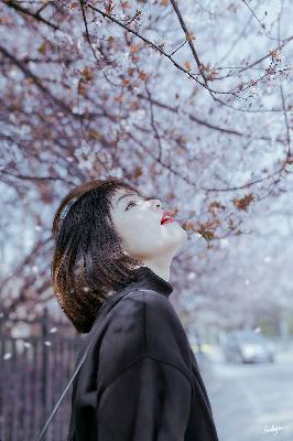 天美麻花星空高清免费观看完整版影视