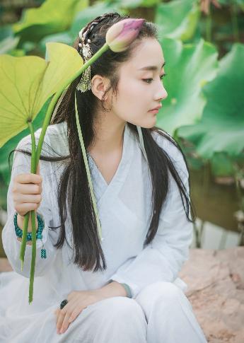 樱花动漫在线观看全集免费高清版