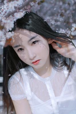 樱花在线观看免费高清电视剧荣耀