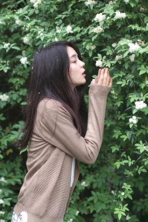 最美的青春电视剧全集免费观看