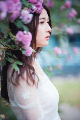 欧美版红楼梦1至56集