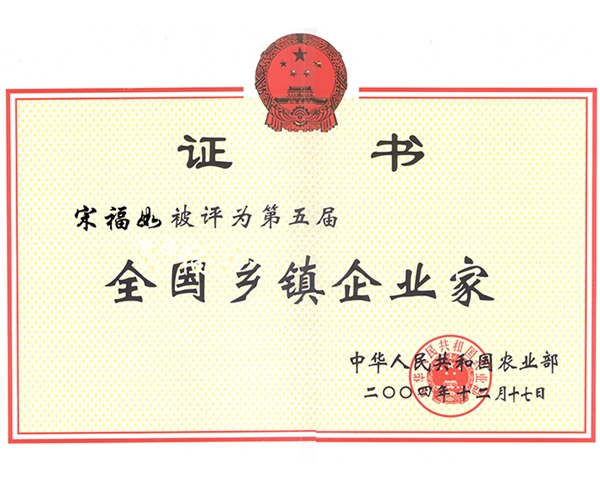 全國(guó)鄉(xiāng)(xiāng)鎮(zhèn)(zhèn)企業(yè)(yè)家