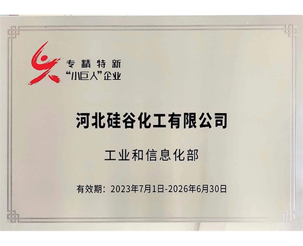 專精特新小巨人企業(yè)(yè)