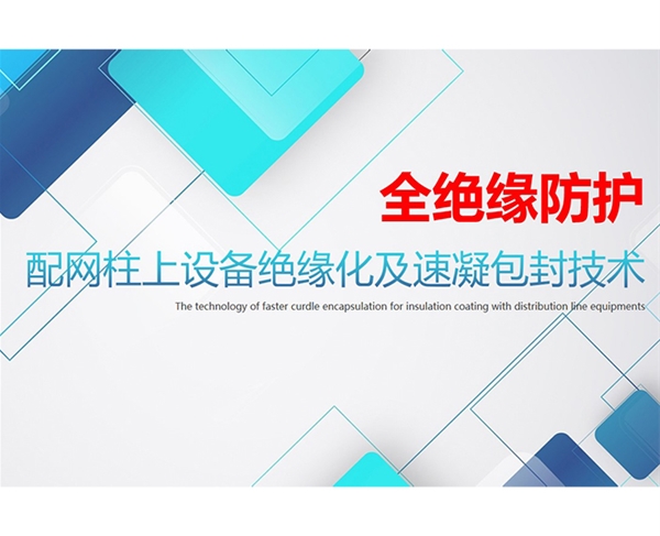 配網(wǎng)(wǎng)柱上設(shè)(shè)備全絕緣化（河北硅谷）